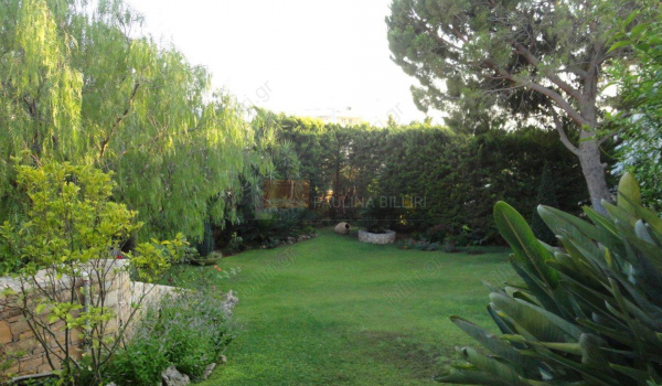 Κήπος - Garden